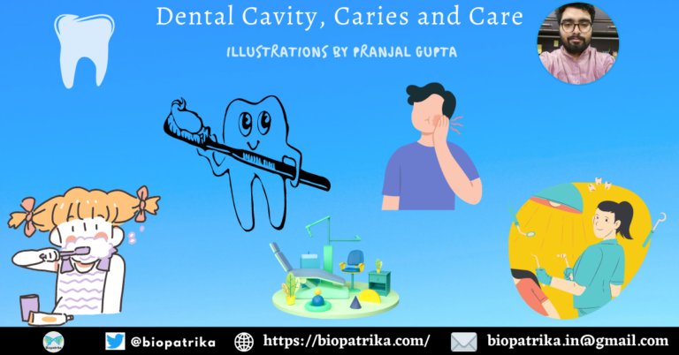 Dental Cavity, Caries and Care