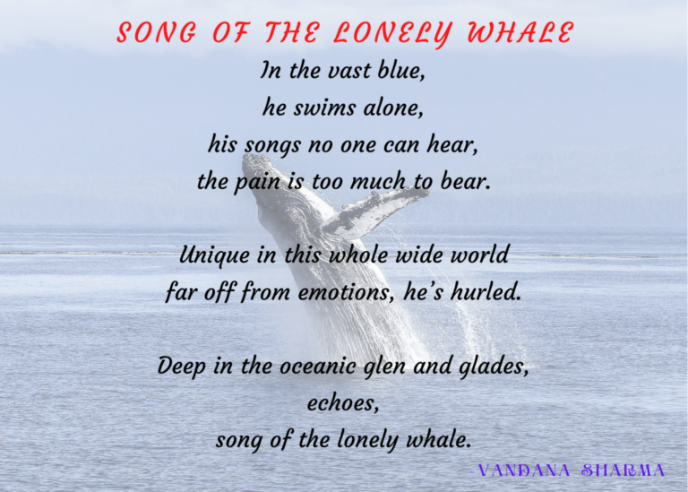 Song Of The Lonely Whale by Vandana Sharma