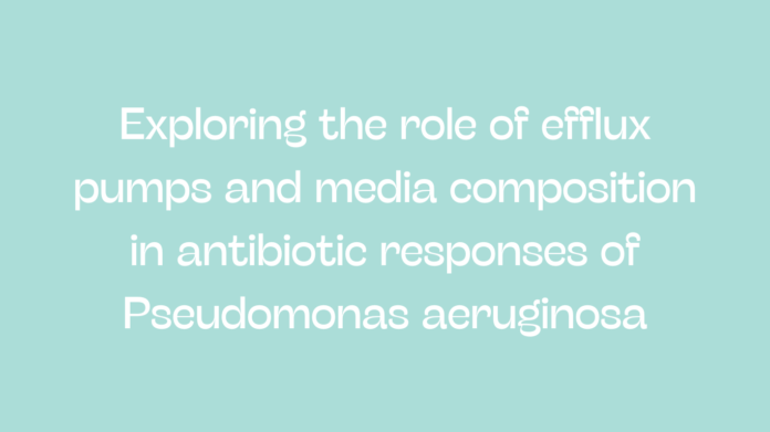 Exploring the role of efflux pumps and media composition in antibiotic responses of Pseudomonas aeruginosa