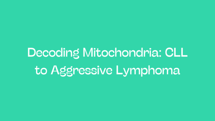 Decoding Mitochondria: CLL to Aggressive Lymphoma