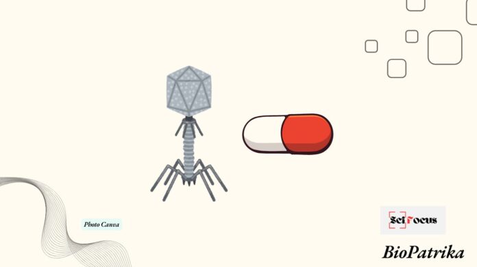 A Blueprint for Broadly Effective Phage-Antibiotic Cocktails