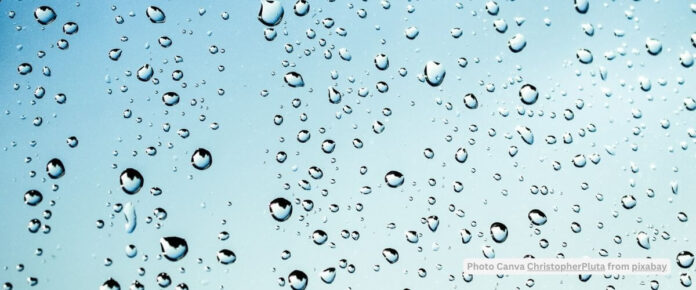 Tunable Disulfide Bonds: A New Lever in Phase Separation Science