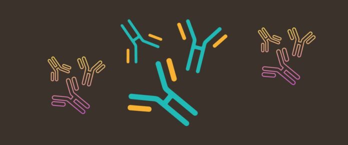 Trust Issues: The Antibody Dilemma Shaking Science