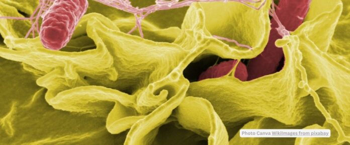 FDA-Authorized AI/ML Tool for Sepsis Prediction