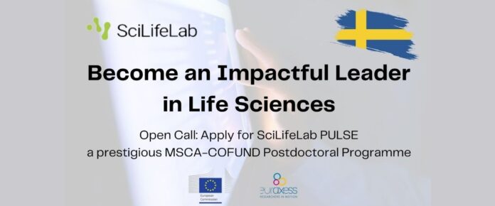 SciLifeLab PULSE Postdoc Programme
