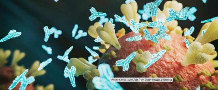 Development of Mirror-Image Monobodies Targeting Leukemia