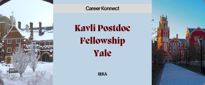 Kavli Institute for Neuroscience at Yale: Postdoctoral Fellowship