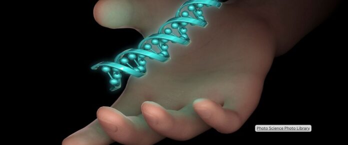 Decoding Structural Variants in Single Cells with Genome-Shuffle-seq