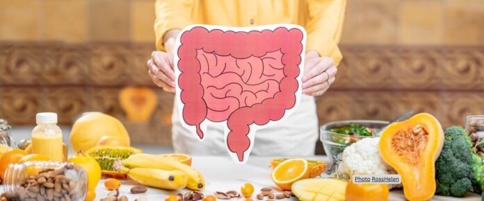 Gut Bacteria: A New Target for Hypertension Treatment?