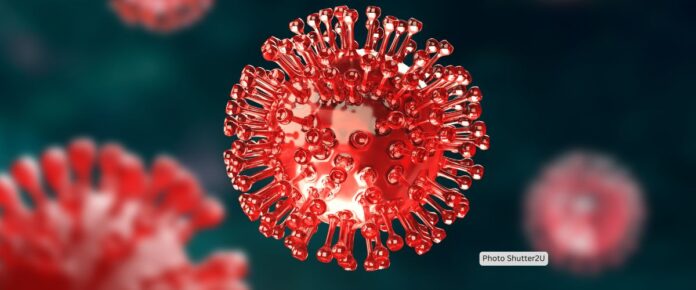 Unlocking HIV-1 Maturation: Role of SP2