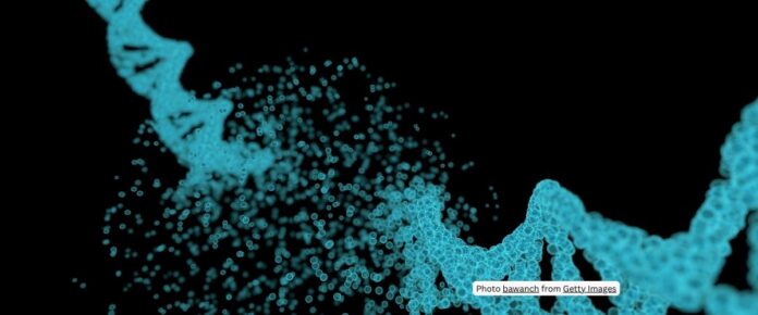 Phosphorylated BLM Peptide