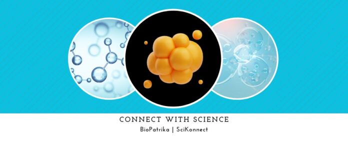 Exploring the role of liquid-liquid phase separation in vimentin assembly