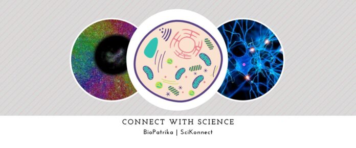 How Cells Follow Invisible Mechanical Cues to Form Stunning Patterns