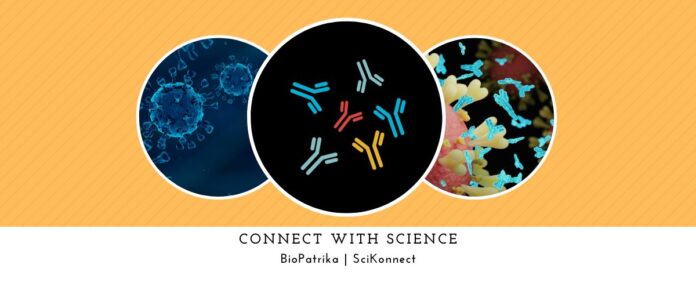 Watching immunotherapies in action