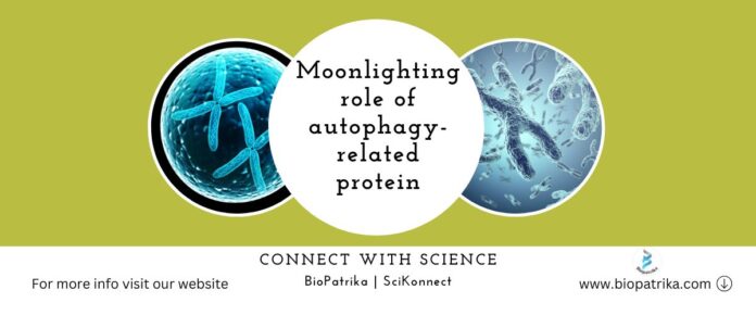 Moonlighting role of autophagy-related protein Atg11 in error-free chromosome segregation
