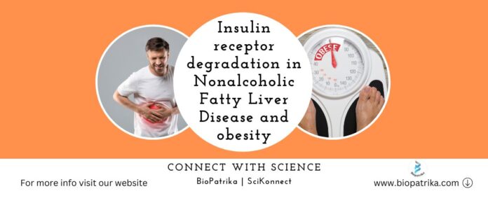 Insulin receptor degradation in Nonalcoholic Fatty Liver Disease and obesity