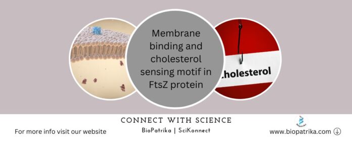 Membrane binding and cholesterol sensing motif in FtsZ protein