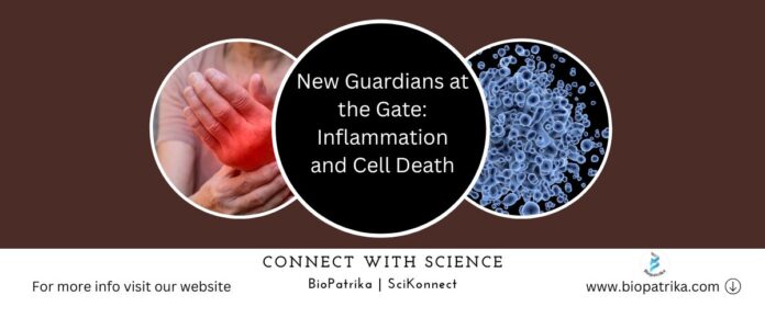 New Guardians at the Gate Inflammation and Cell Death