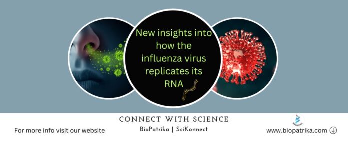 New insights into how the influenza virus replicates its RNA