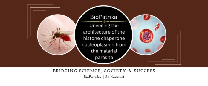 Unveiling the architecture of the histone chaperone nucleoplasmin from the malarial parasite