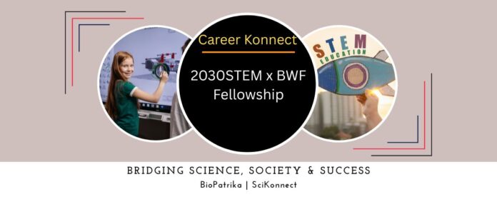 2030STEM x BWF Fellowship