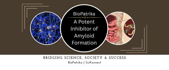 A Potent Inhibitor of Amyloid Formation