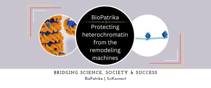 Protecting heterochromatin from the remodeling machines