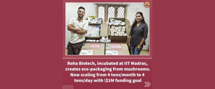Roha Biotech Revolutionizing Sustainable Packaging with Mushrooms