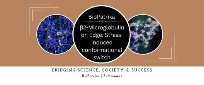 β2-Microglobulin on Edge Stress-induced conformational switch