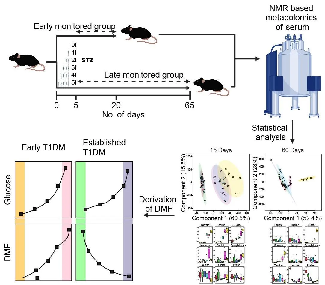 Can we identify early and specific biomarkers for Type 1 Diabetes mellitus - Figure