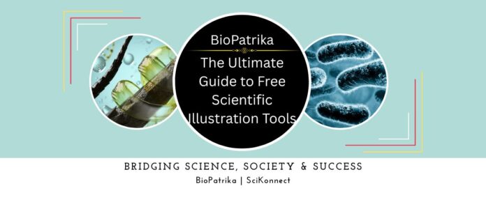 The Ultimate Guide to Free Scientific Illustration Tools