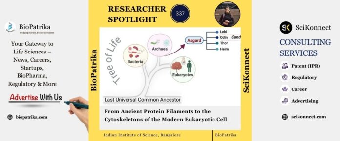 From Ancient Protein Filaments to the Cytoskeletons of the Modern Eukaryotic Cell