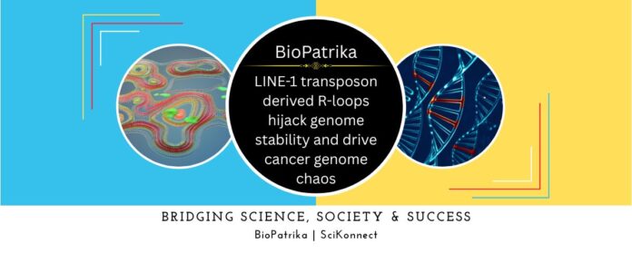 LINE-1 transposon derived R-loops hijack genome stability and drive cancer genome chaos