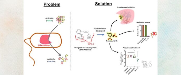 IIT Roorkee Researchers Discover Promising Drug Candidate to Fight Deadly Antibiotic Resistance