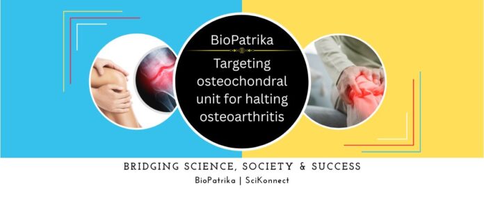Targeting osteochondral unit for halting osteoarthritis