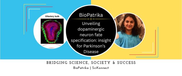 Unveiling dopaminergic neuron fate specification insight for Parkinson’s Disease