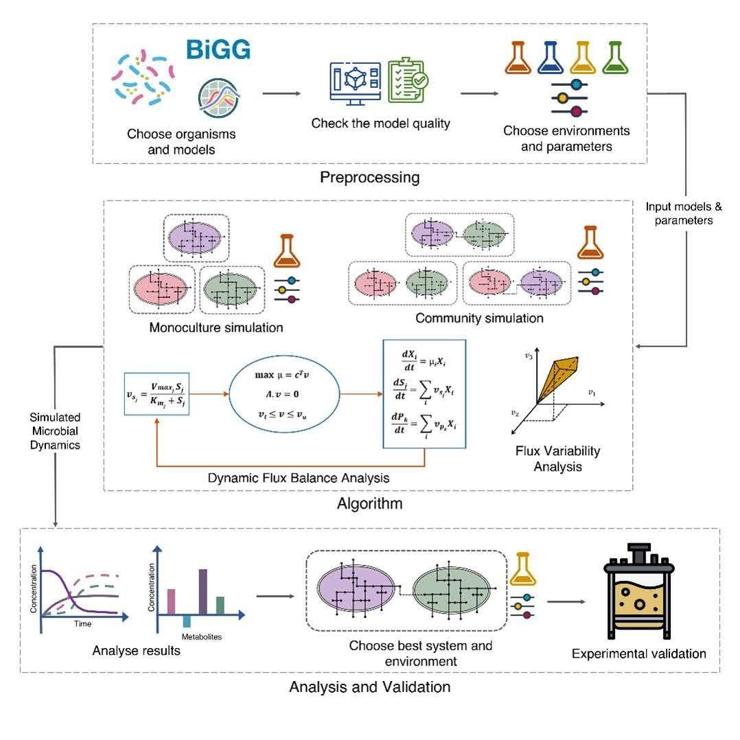 COSMOS When Should Microbes Work Alone, and When in Teams