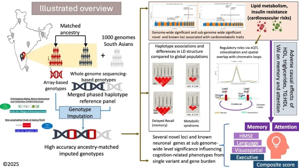 Cognition Genetics in Rural South India