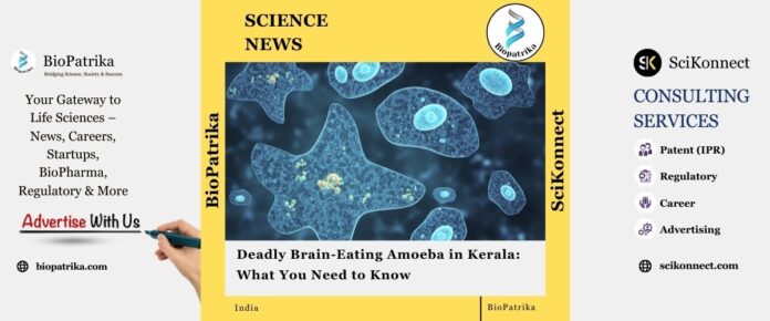Deadly Brain-Eating Amoeba in Kerala What You Need to Know
