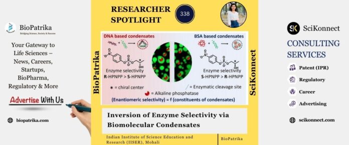 Inversion of Enzyme Selectivity via Biomolecular Condensates