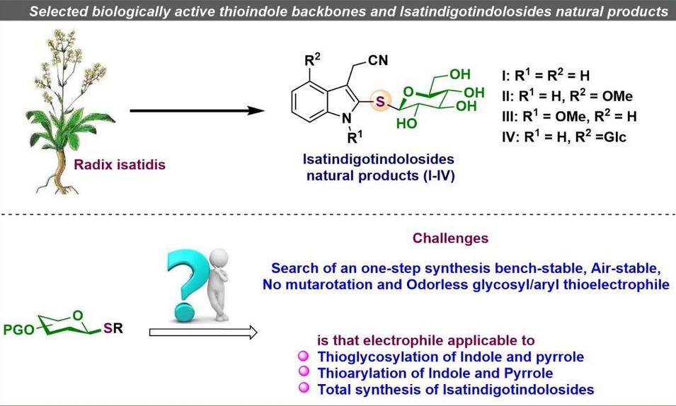 A schematic representation of the importance of thioindole glycosides and associated challenges.