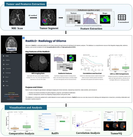 RadGLO A Radiomics Platform for Glioma Prognosis and Analysis