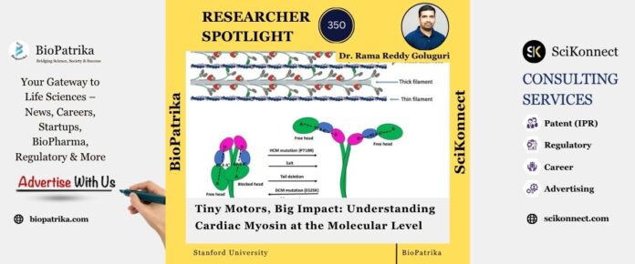 Tiny Motors, Big Impact Understanding Cardiac Myosin at the Molecular Level
