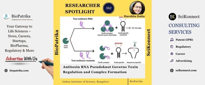 Antitoxin RNA Pseudoknot Governs Toxin Regulation and Complex Formation