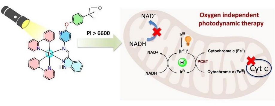 ES-PCET process-based PDT agents for photodynamic therapy (2)