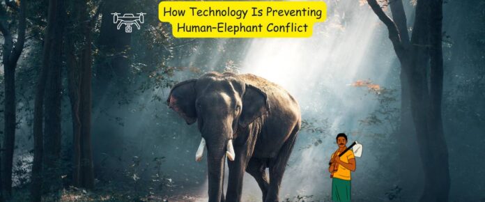 How Technology Is Preventing Human–Elephant Conflict