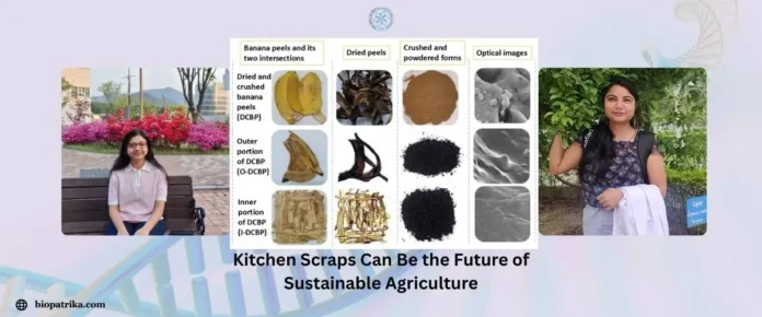 Kitchen Scraps Can Be the Future of Sustainable Agriculture