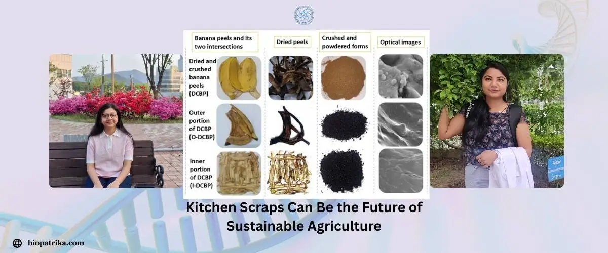 Kitchen Scraps Can Be the Future of Sustainable Agriculture