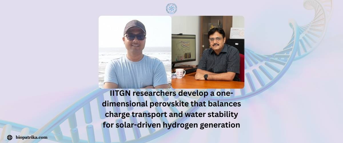 New Water-Stable Material Paves Way for Efficient Hydrogen Generation