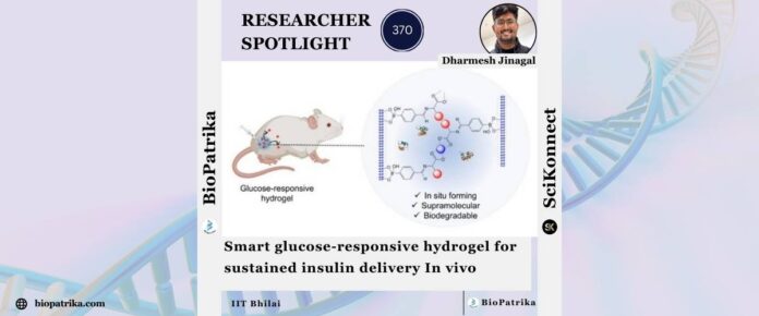 Smart glucose-responsive hydrogel for sustained insulin delivery In vivo